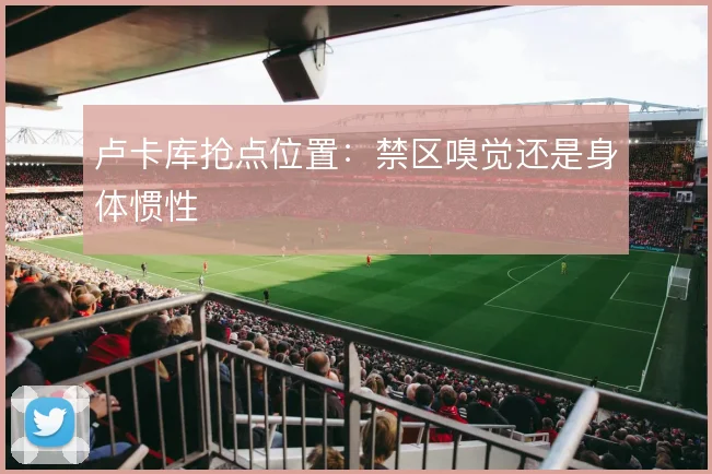 卢卡库抢点位置：禁区嗅觉还是身体惯性