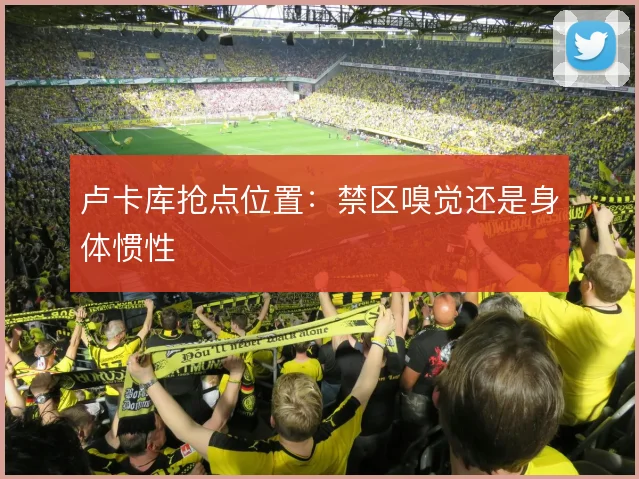卢卡库抢点位置：禁区嗅觉还是身体惯性