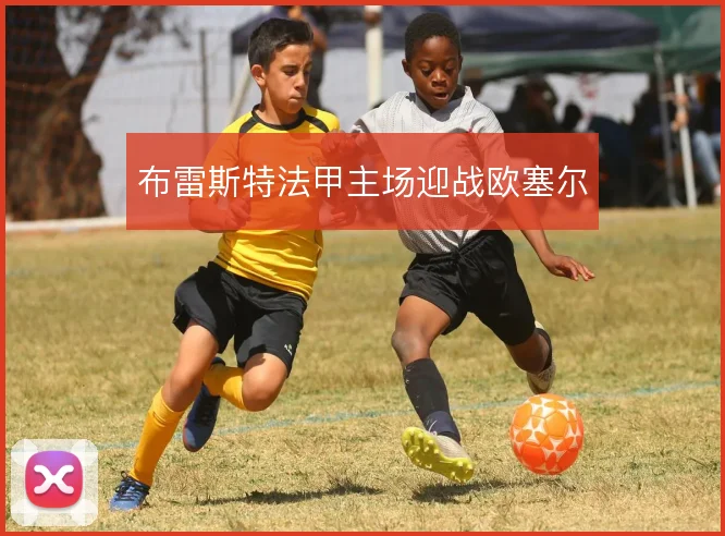 布雷斯特法甲主场迎战欧塞尔